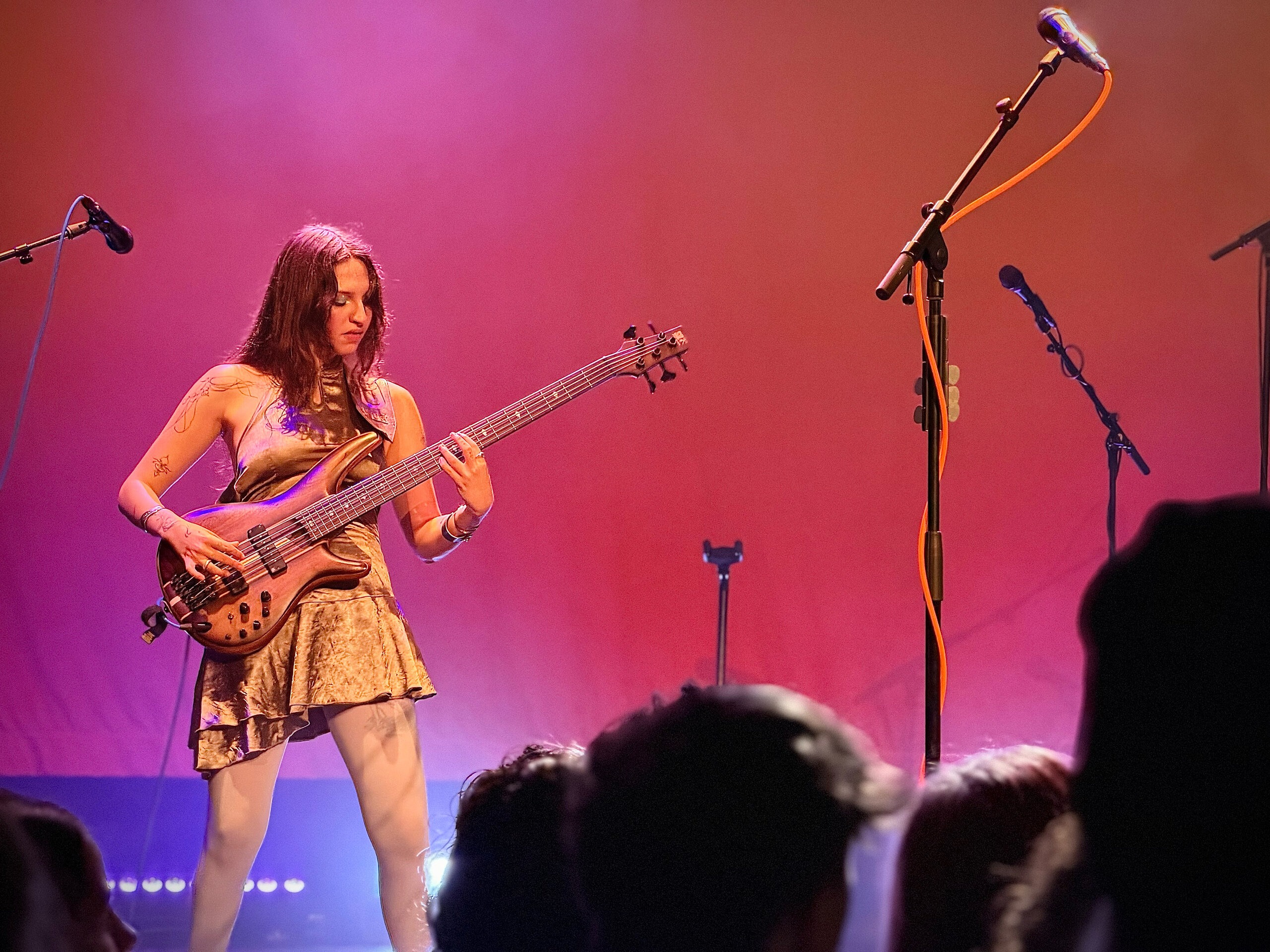 Father of Peace — photograph 12 of 33, concert photography by Robert Bucher