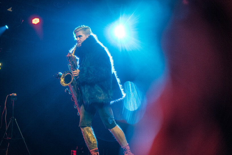 Too Many Zooz