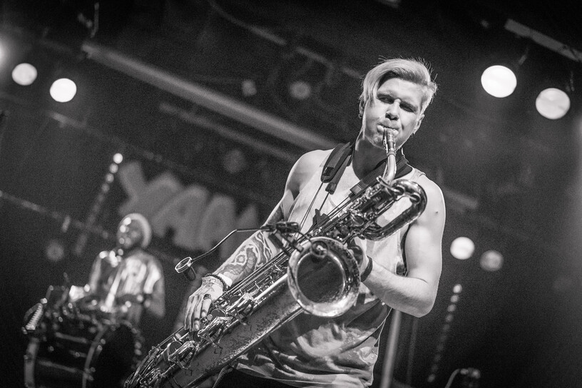 Too Many Zooz