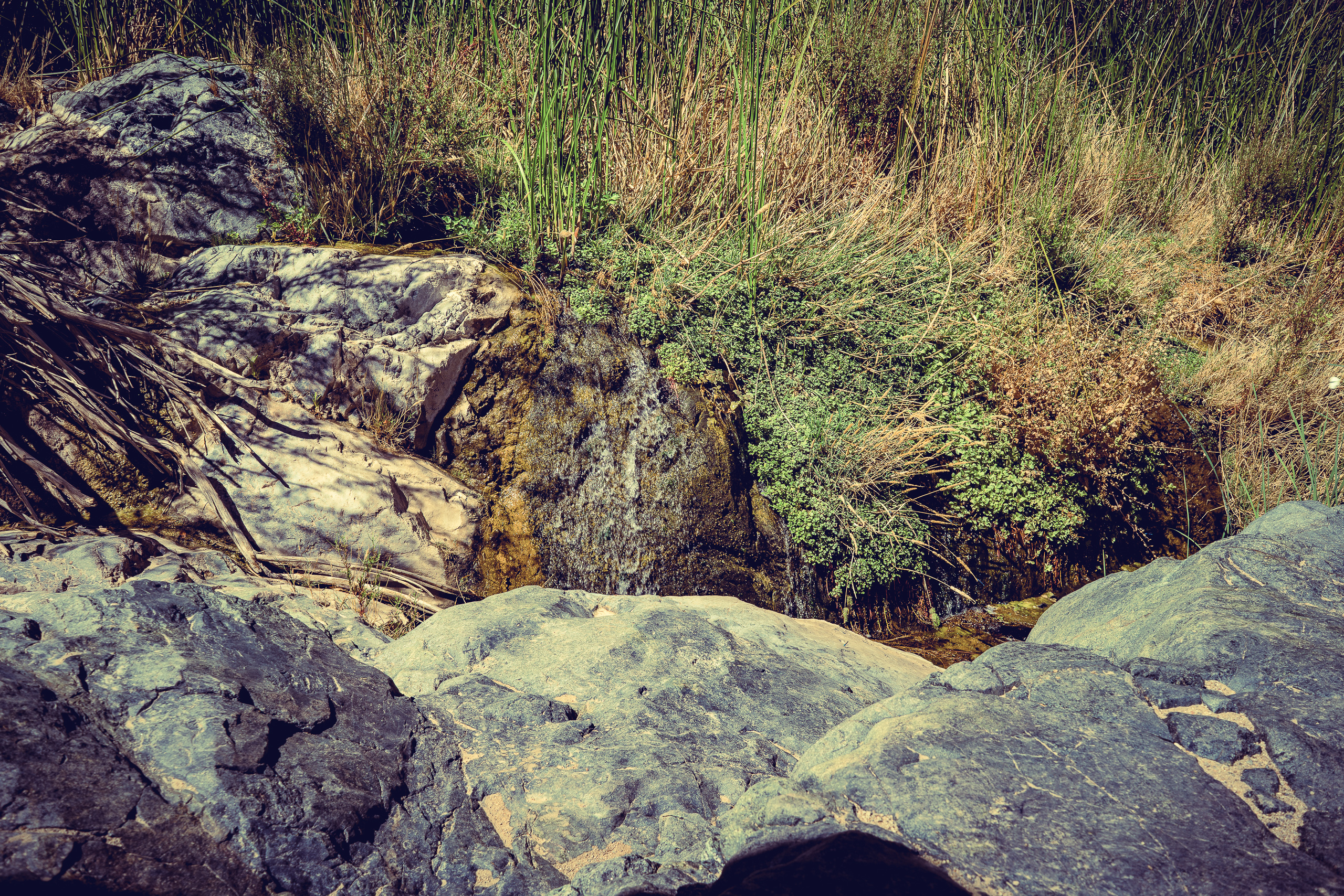 Darwin Falls — photograph 3 of 13, travel photography by Robert Bucher