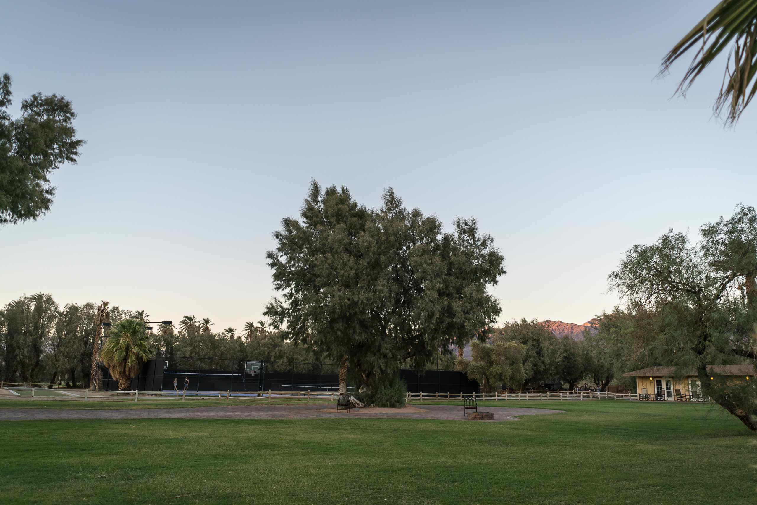 Furnace Creek — photograph 24 of 28, travel photography by Robert Bucher