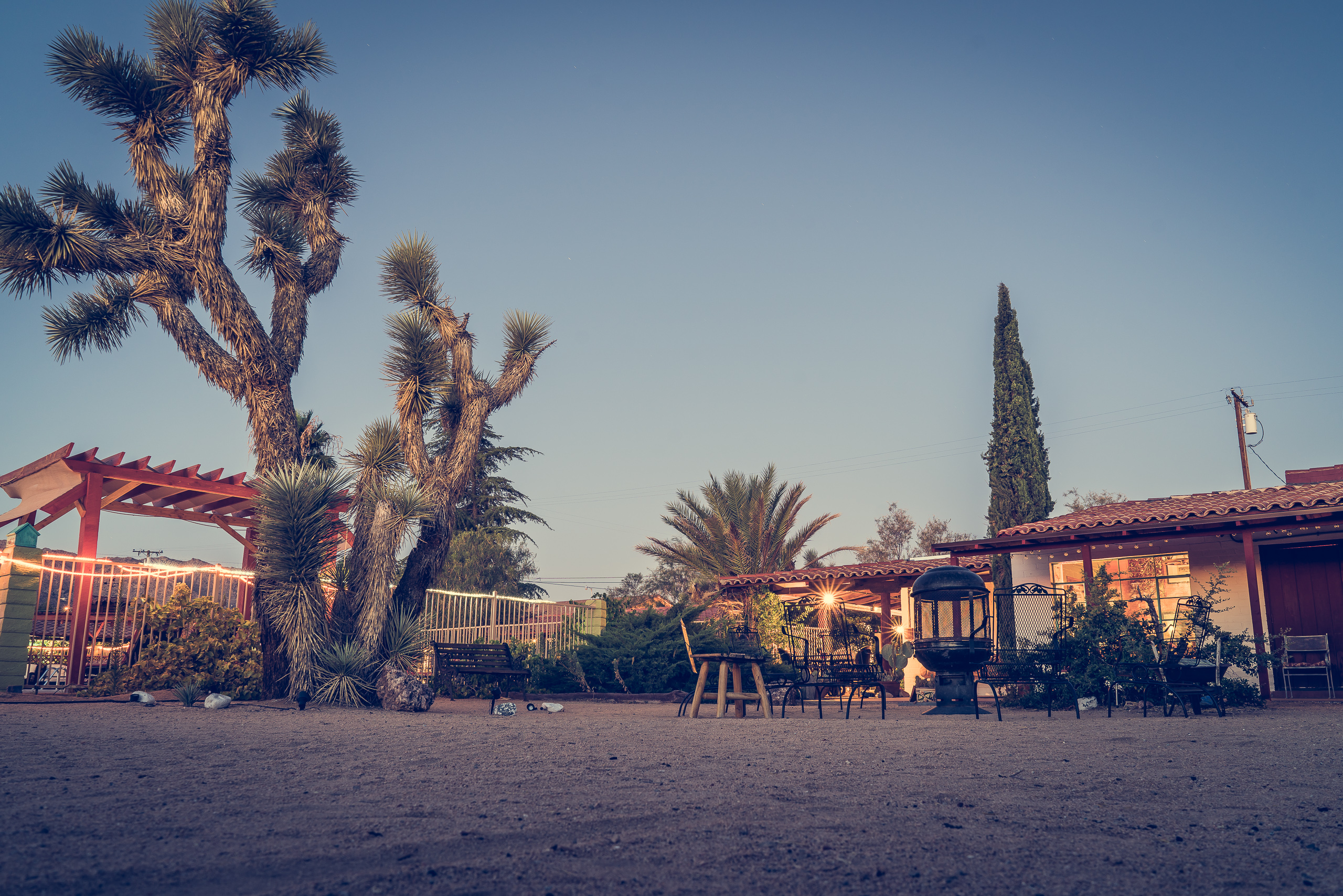 Joshua Tree — photograph 17 of 26, travel photography by Robert Bucher