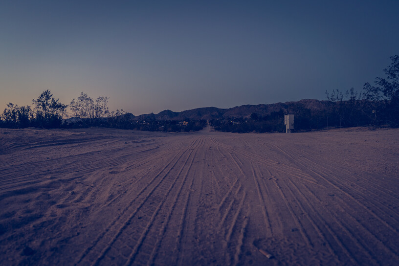 Joshua Tree