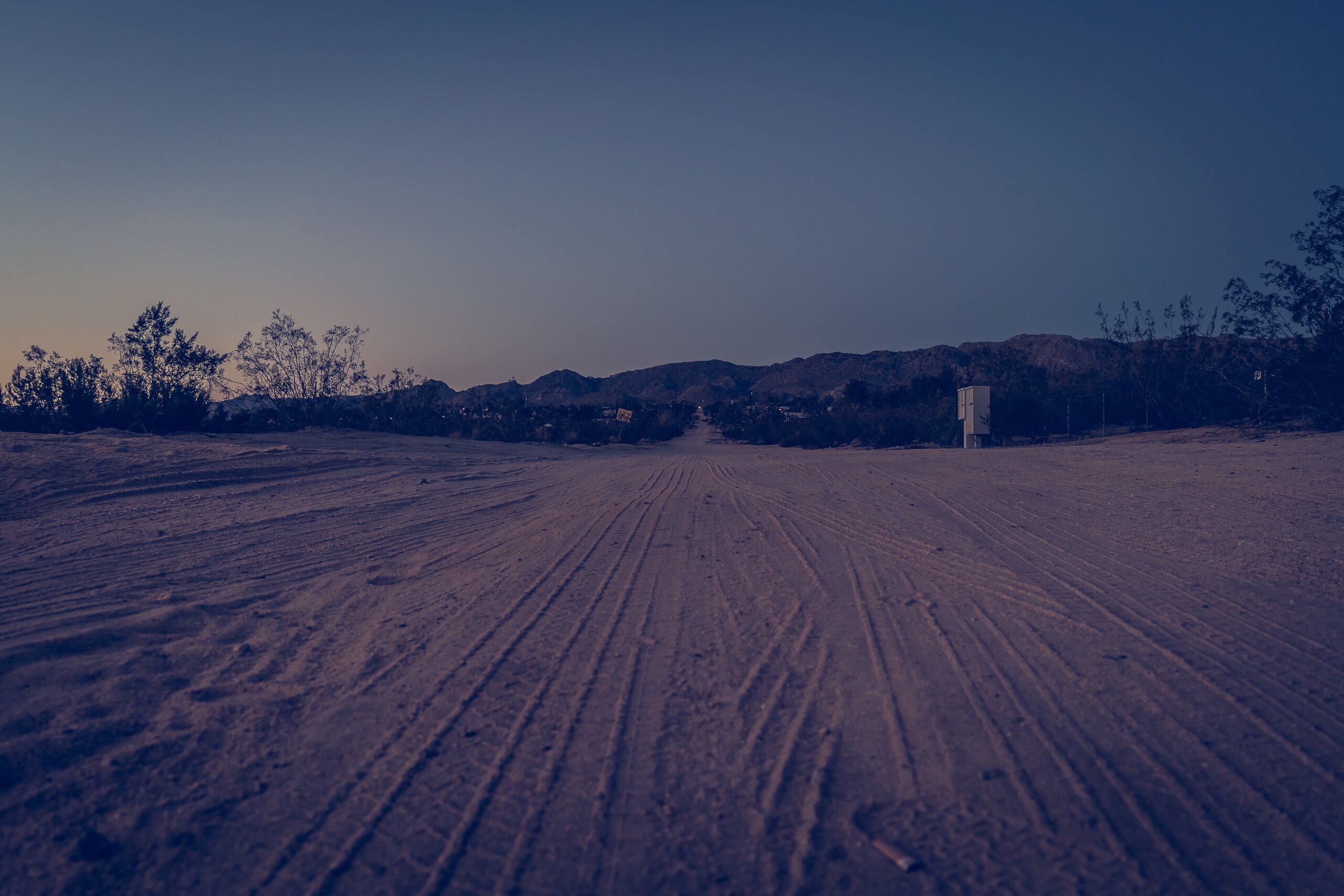 Joshua Tree - photograph 17 of 26, travel photography by Robert Bucher