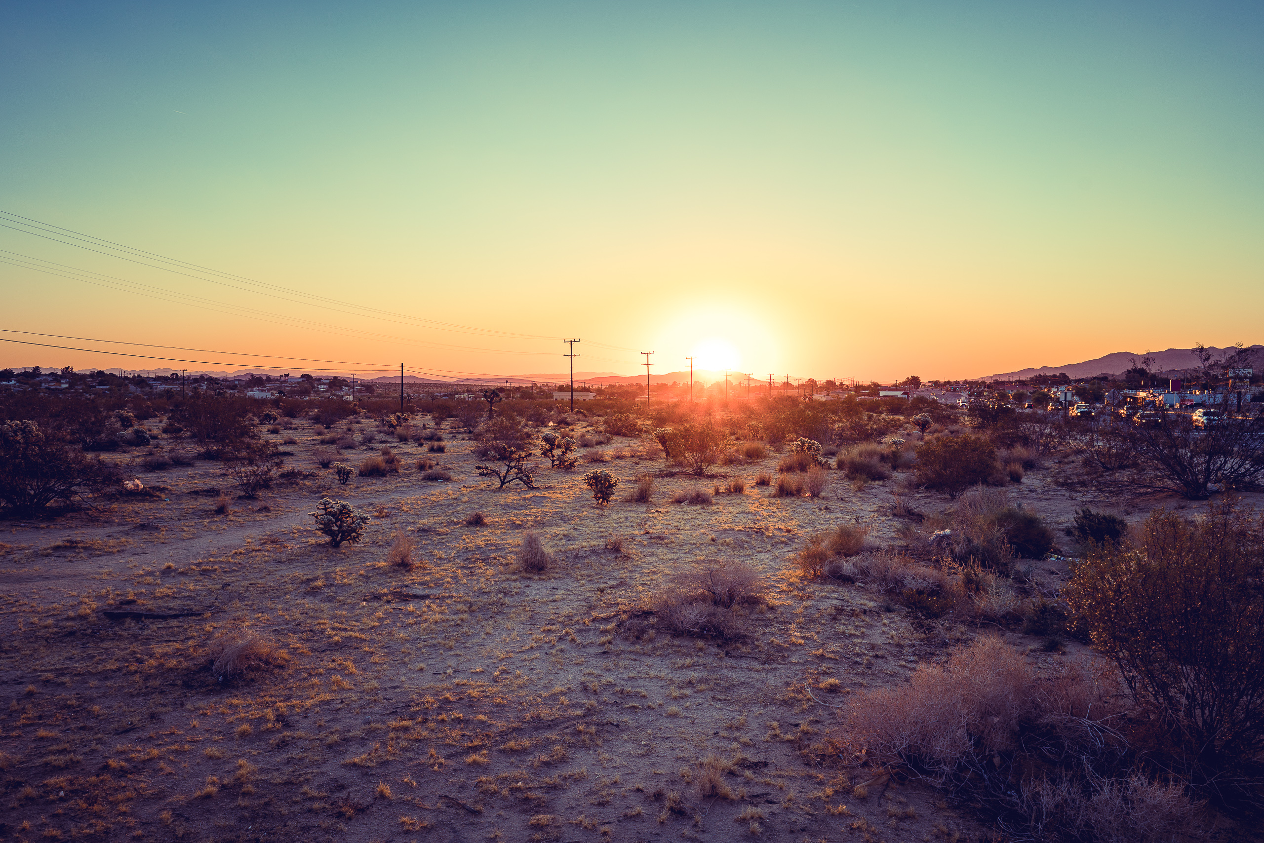 Joshua Tree — photograph 10 of 26, travel photography by Robert Bucher