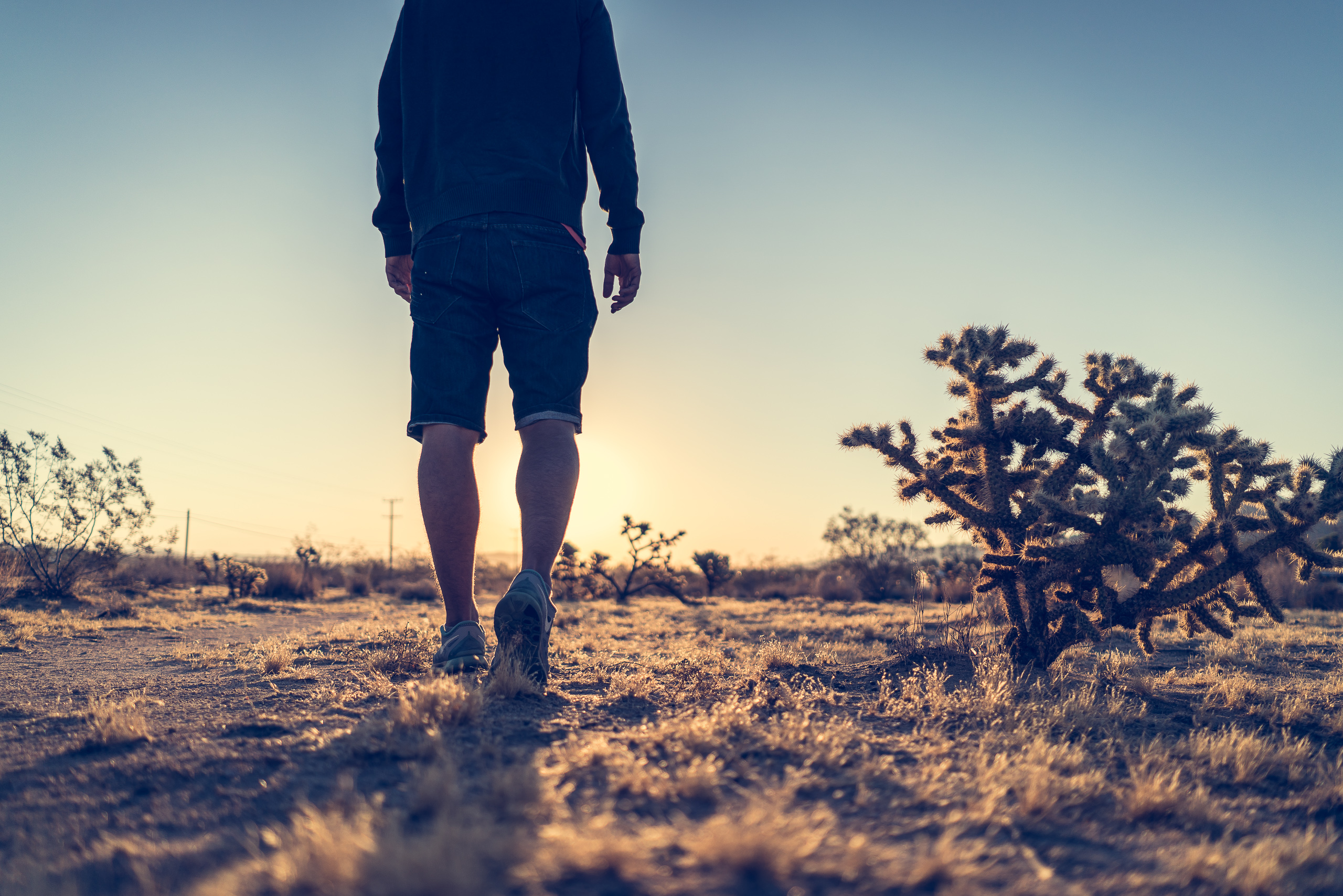 Joshua Tree — photograph 21 of 26, travel photography by Robert Bucher