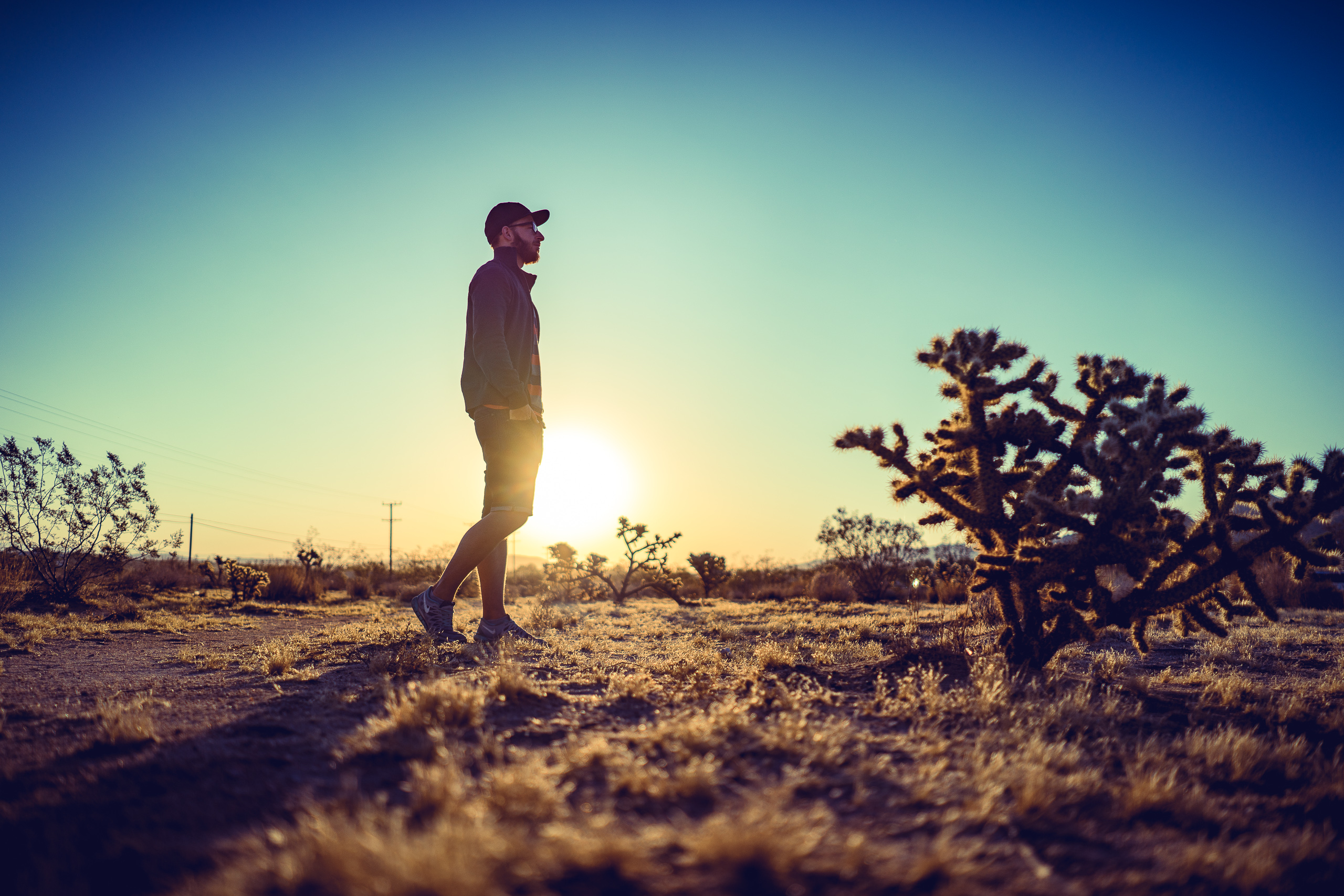 Joshua Tree — photograph 6 of 26, travel photography by Robert Bucher