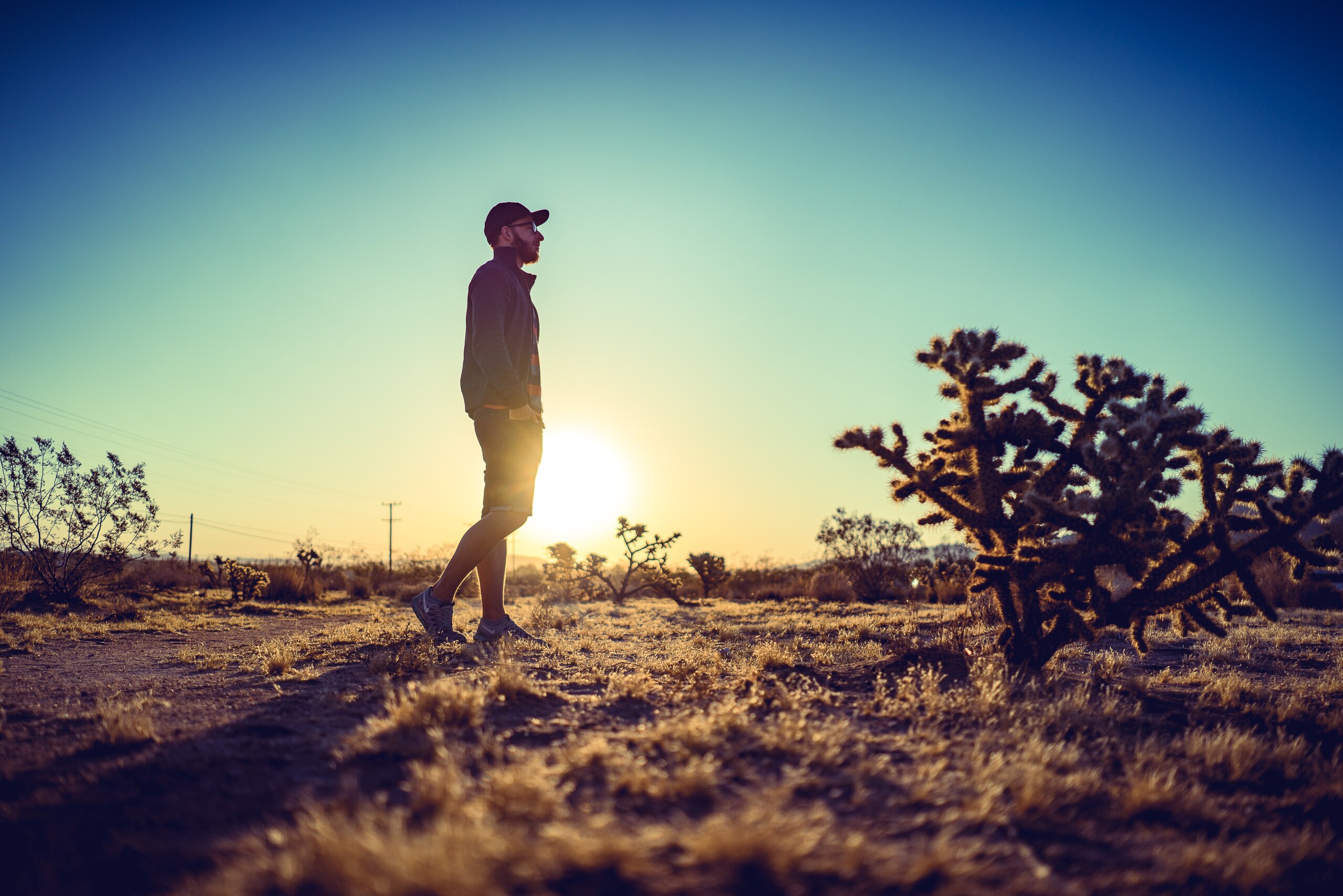 Joshua Tree - photograph 11 of 26, travel photography by Robert Bucher