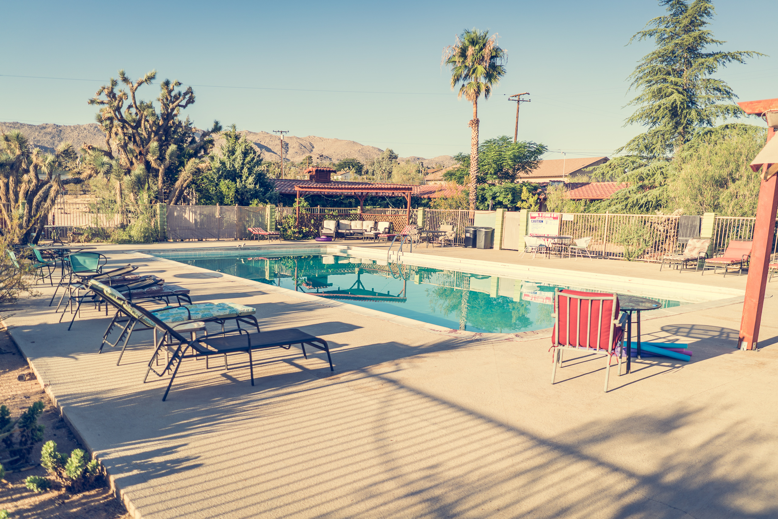 Joshua Tree — photograph 15 of 26, travel photography by Robert Bucher
