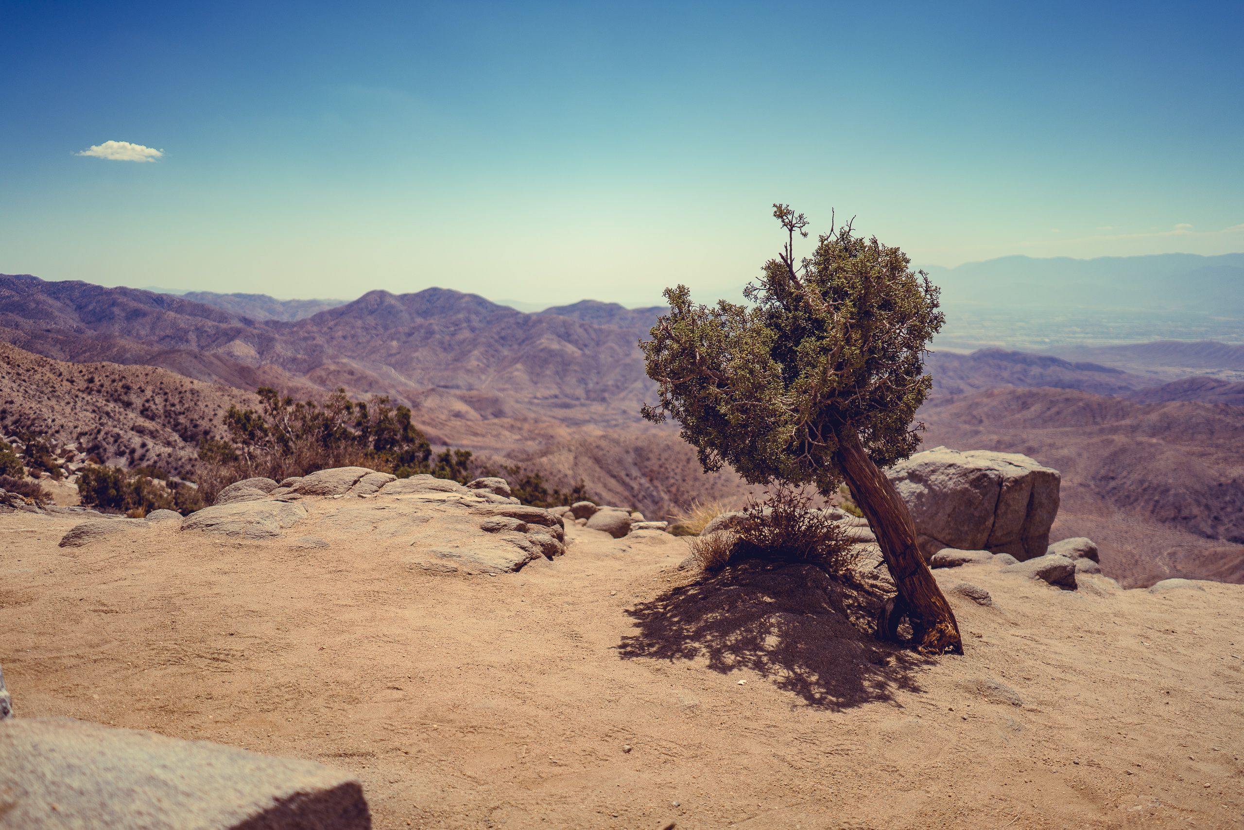 Joshua Tree — photograph 13 of 26, travel photography by Robert Bucher