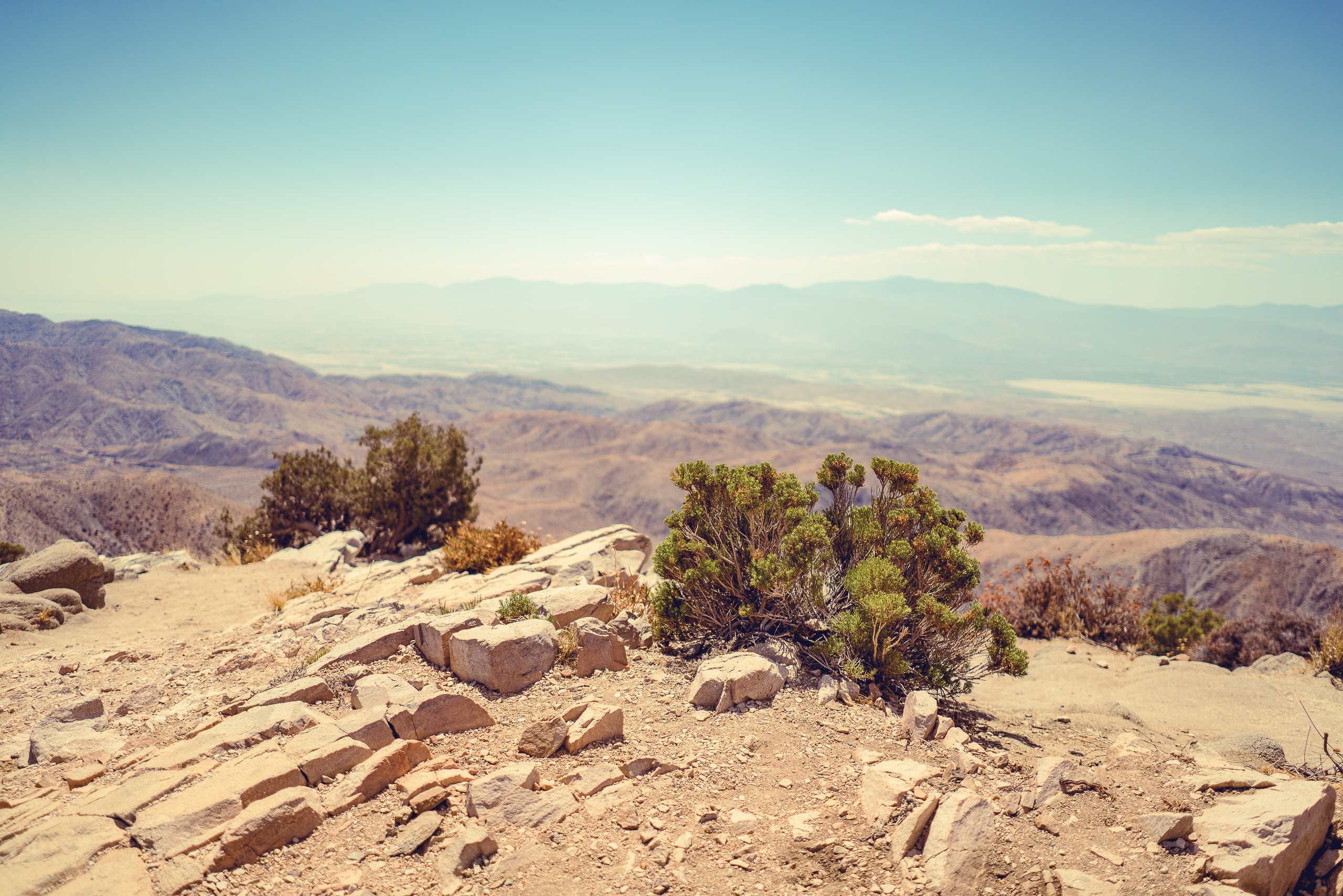 Joshua Tree — photograph 24 of 26, travel photography by Robert Bucher