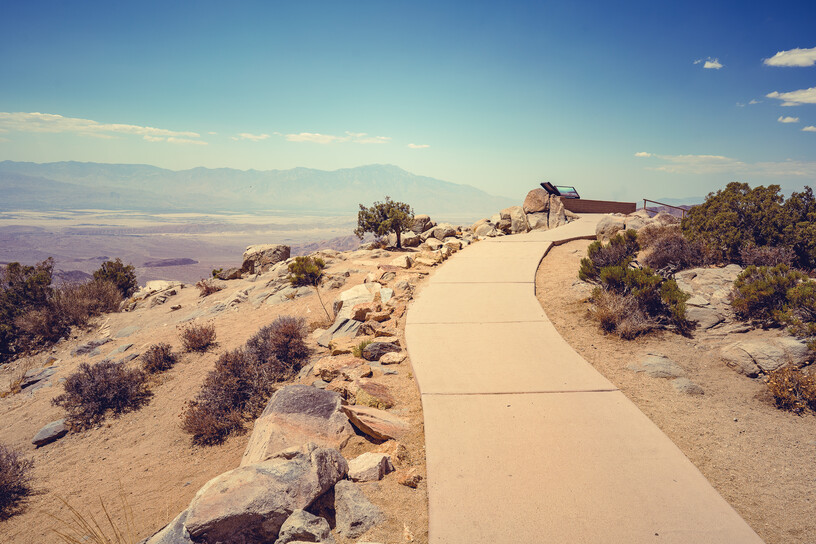 Joshua Tree