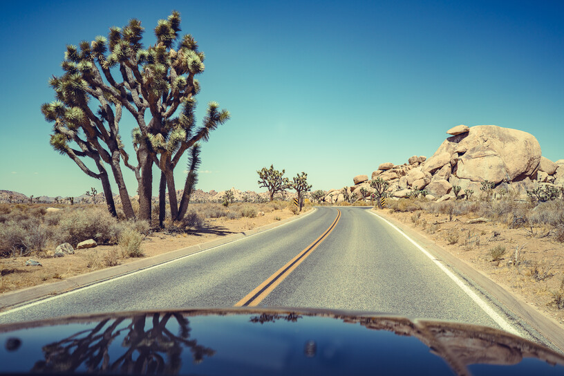 Joshua Tree