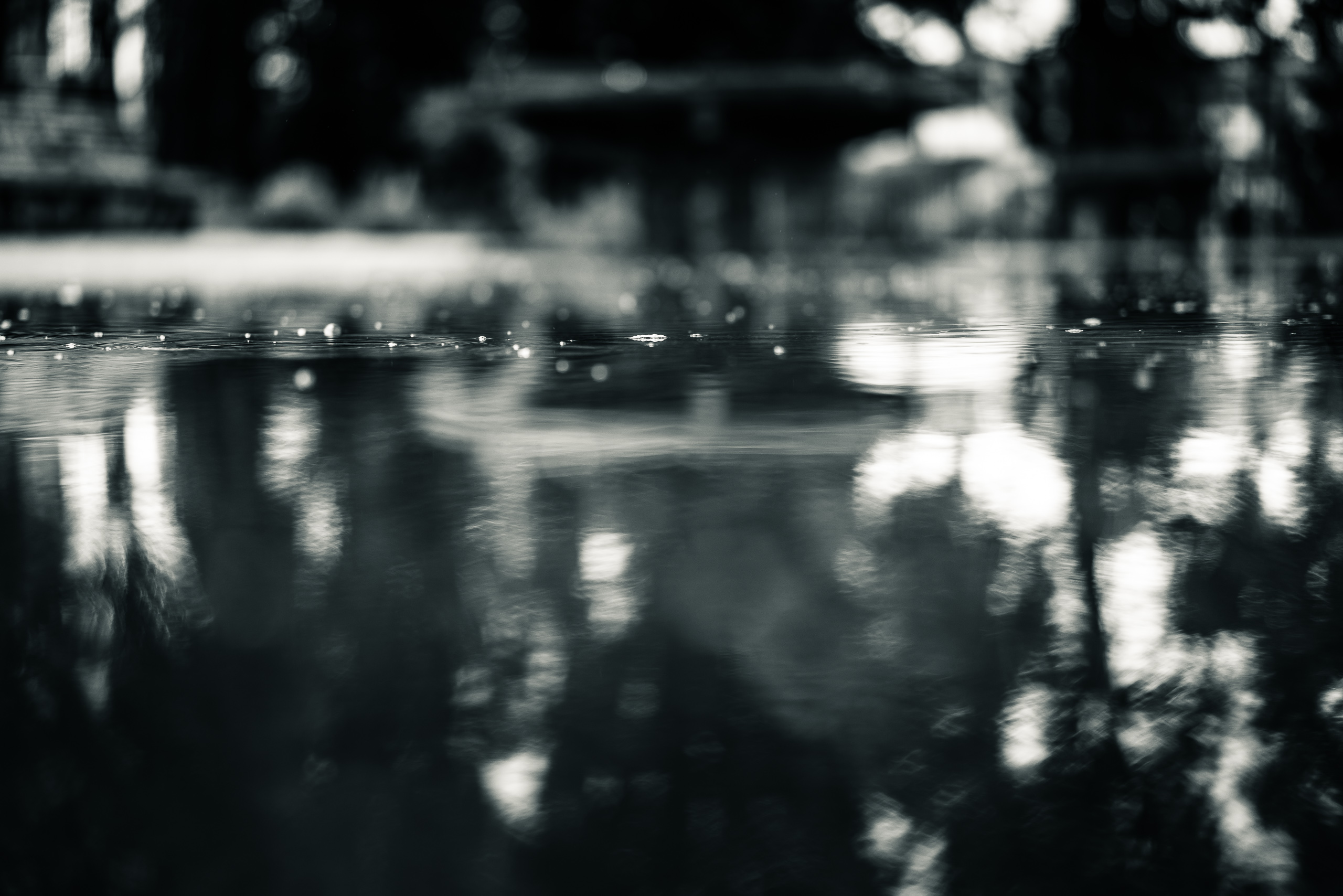 Summer is Broken — photograph 3 of 49, travel photography by Robert Bucher